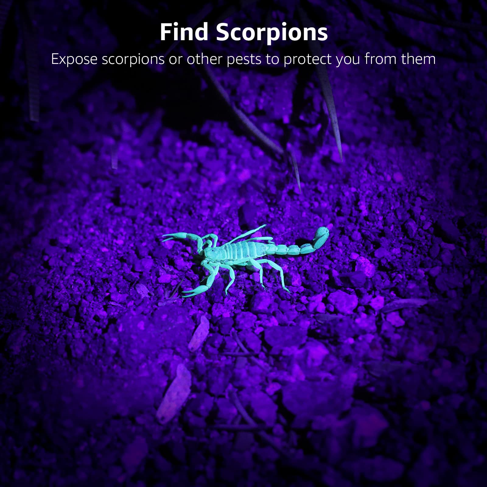 Lepro 51 LEDs UV Light Handheld Blacklight, UV Flashlight Black Light, 395nm Detector for Pet Urine, Stains, Bed Bug and Scorpions, Battery Not Included - Image 9